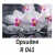 Фотопечать Орхидея R041 