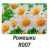 Фотопечать Ромашки R007 