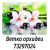 Фотопечать Ветка орхидеи 73297024 